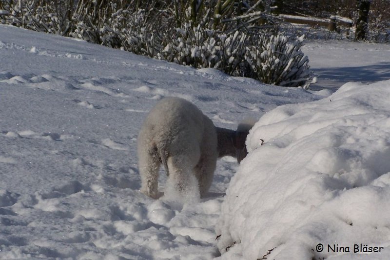 Svet 2008-01-05 (8).JPG